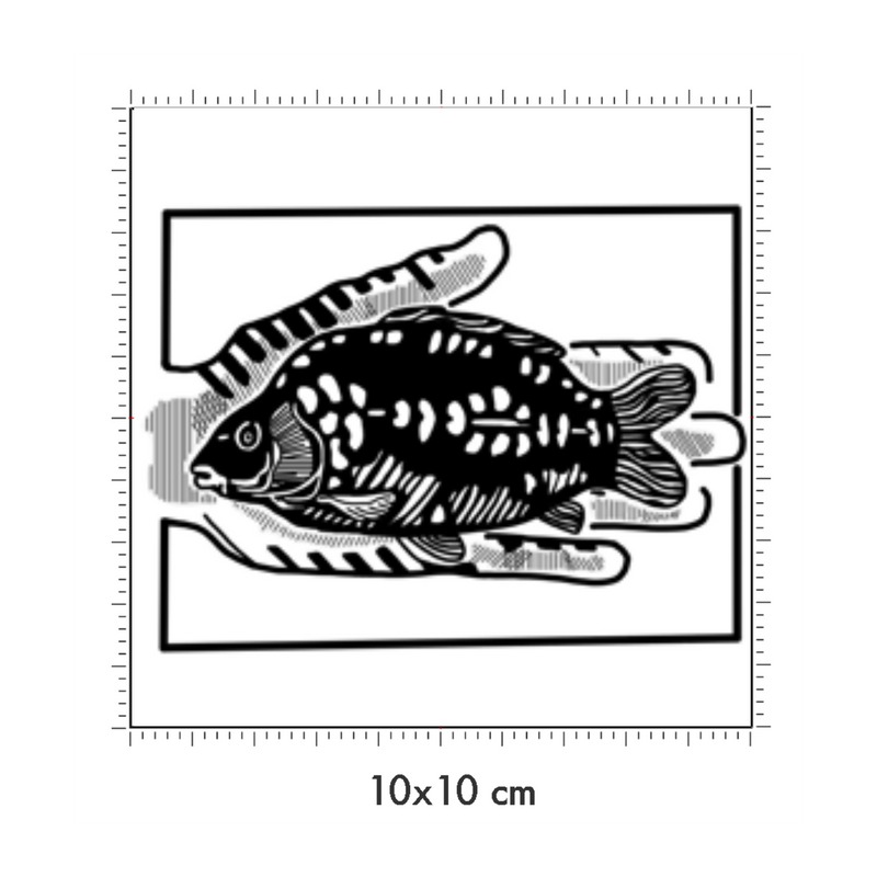 10 x 10 cm