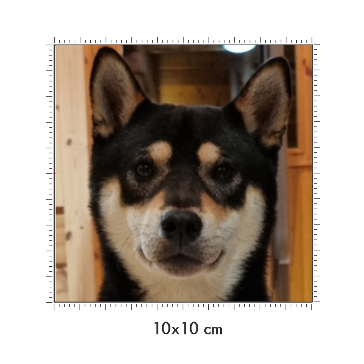 10 x 10 cm