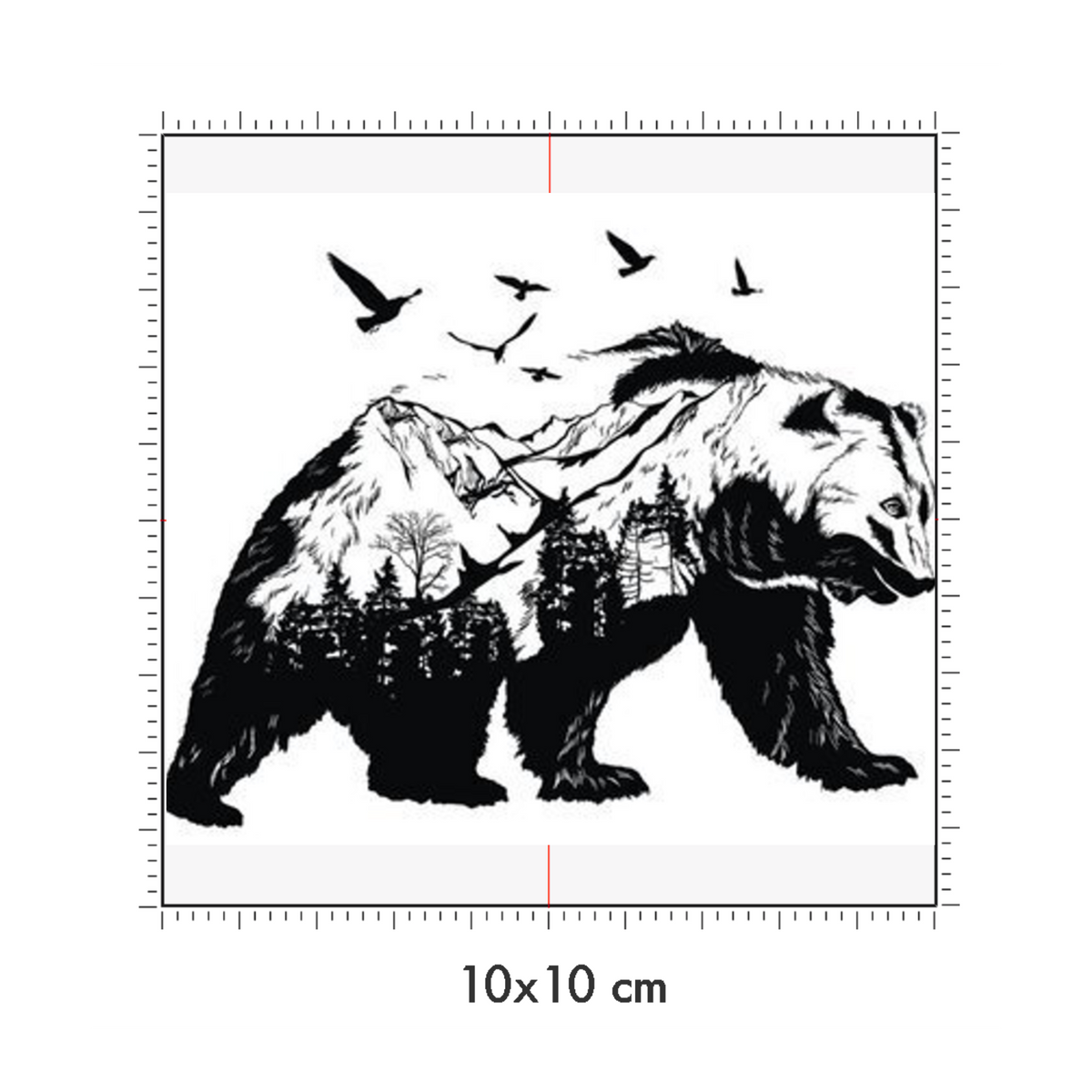 10 x 10 cm