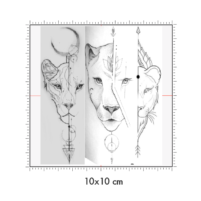 10 x 10 cm