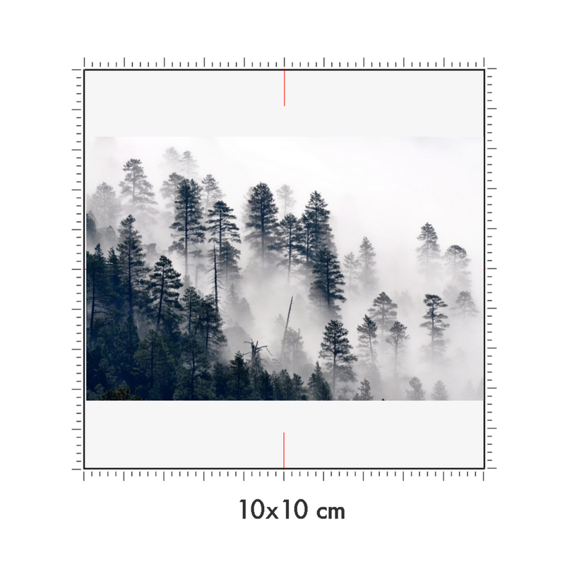 10 x 10 cm