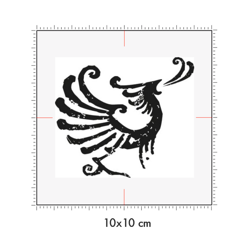 10 x 10 cm