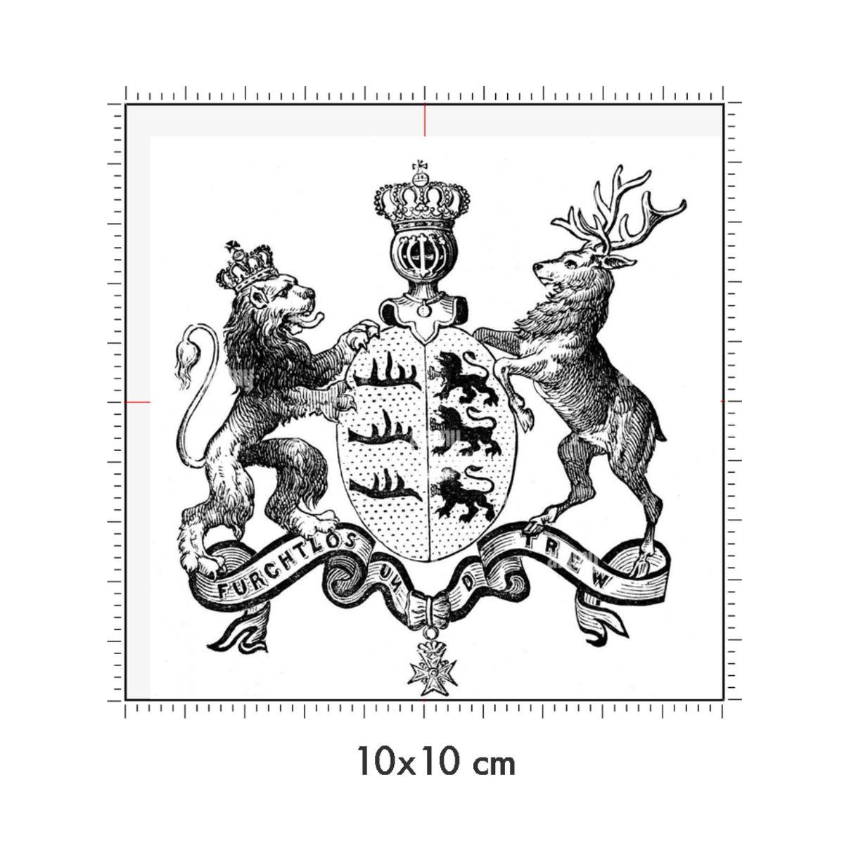 10 x 10 cm