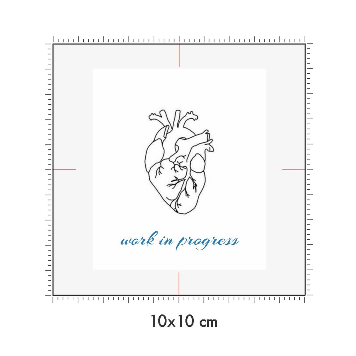 10 x 10 cm
