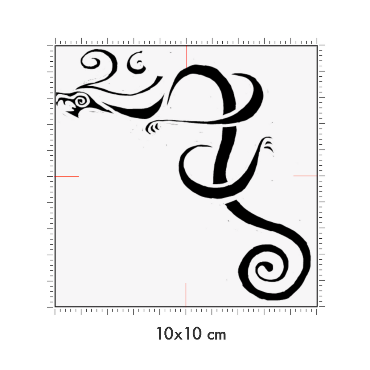 10 x 10 cm