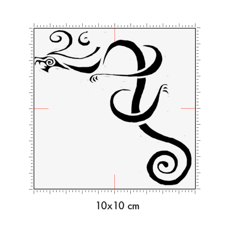 10 x 10 cm