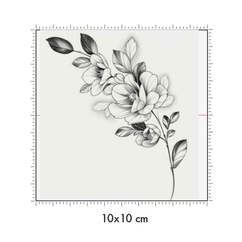 10 x 10 cm