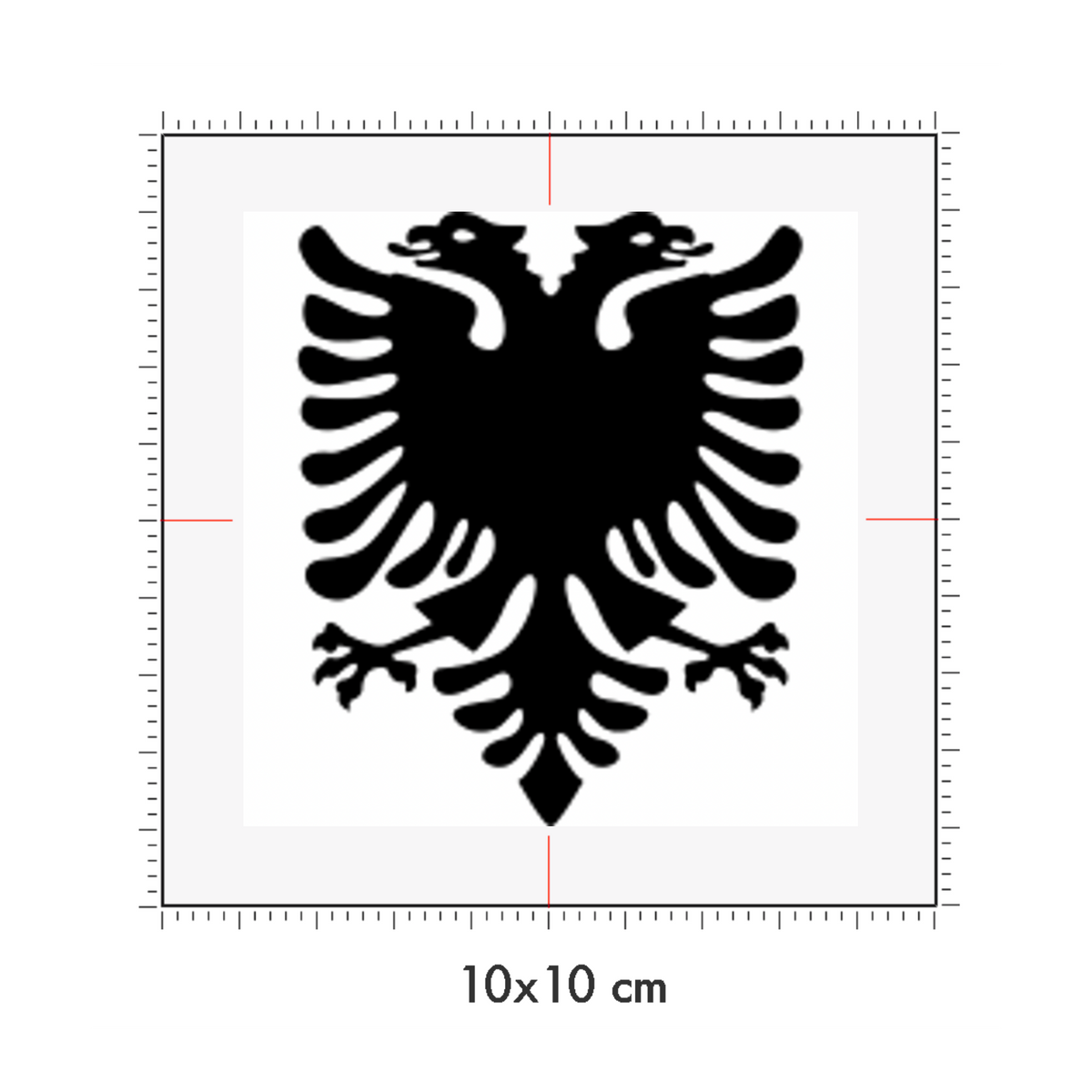 10 x 10 cm