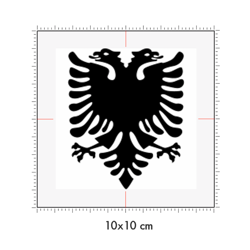 10 x 10 cm
