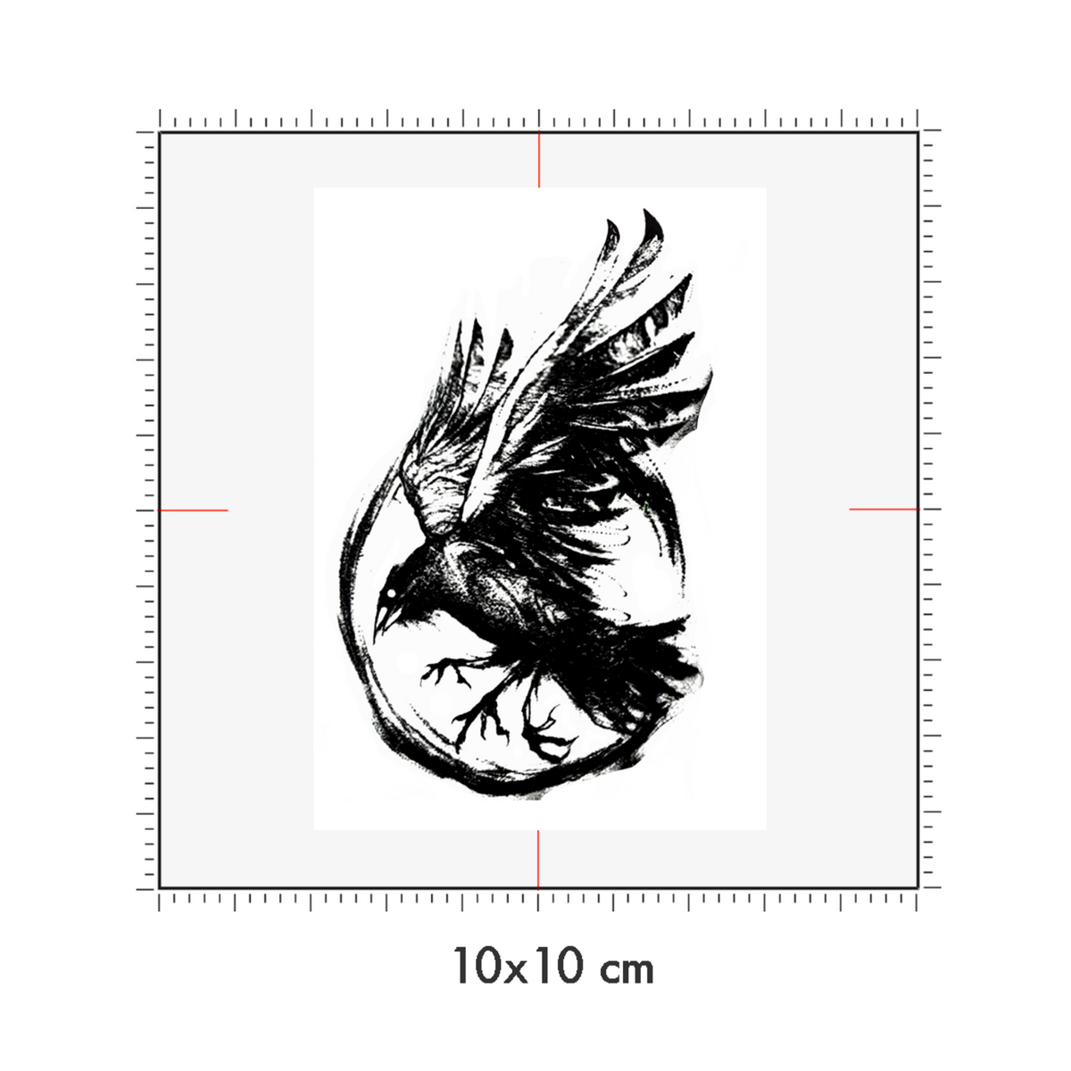 10 x 10 cm
