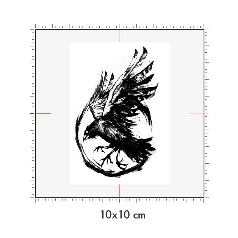 10 x 10 cm