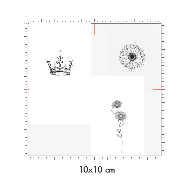 10 x 10 cm
