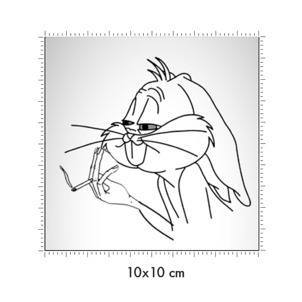10 x 10 cm