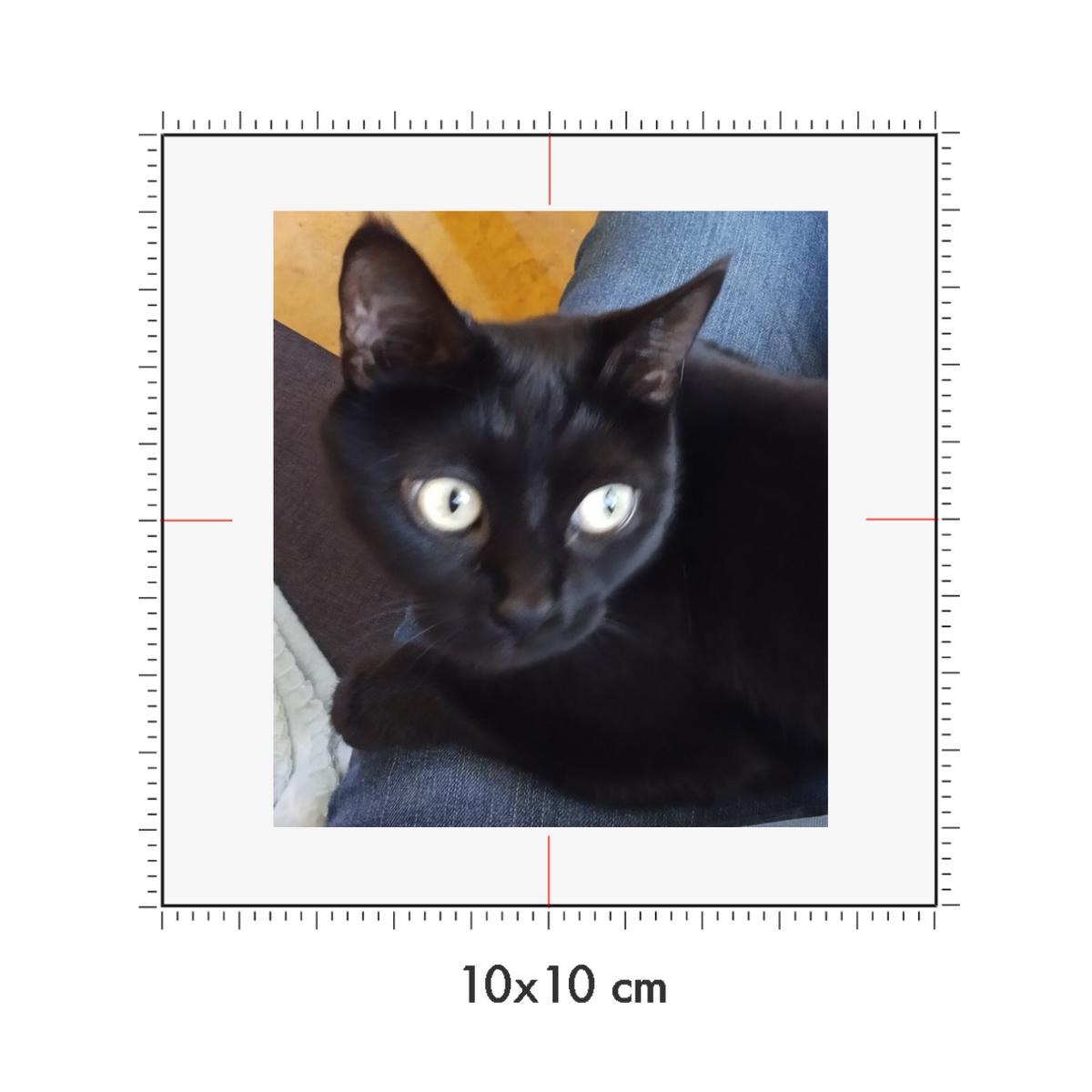 10 x 10 cm