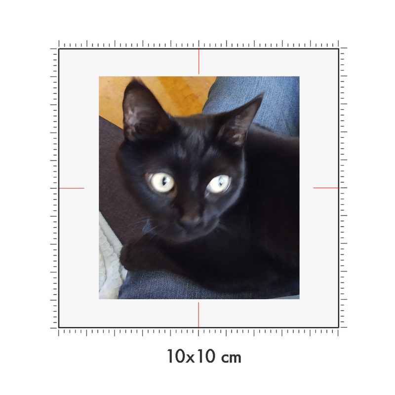 10 x 10 cm