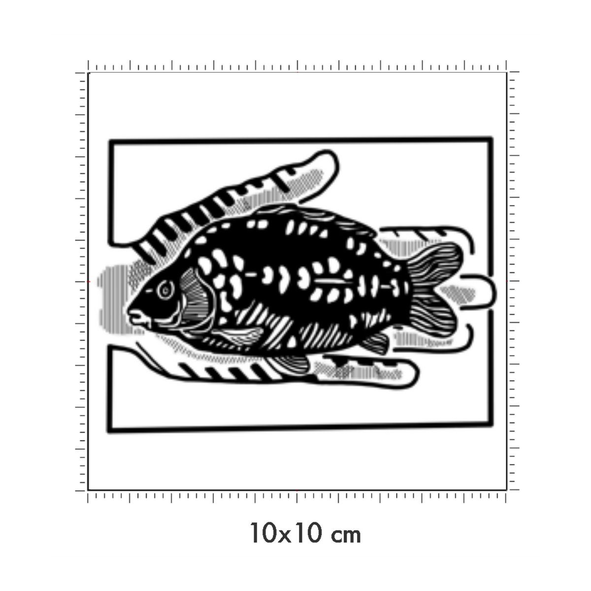 10 x 10 cm