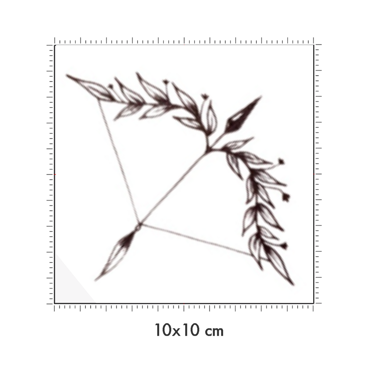 10 x 10 cm