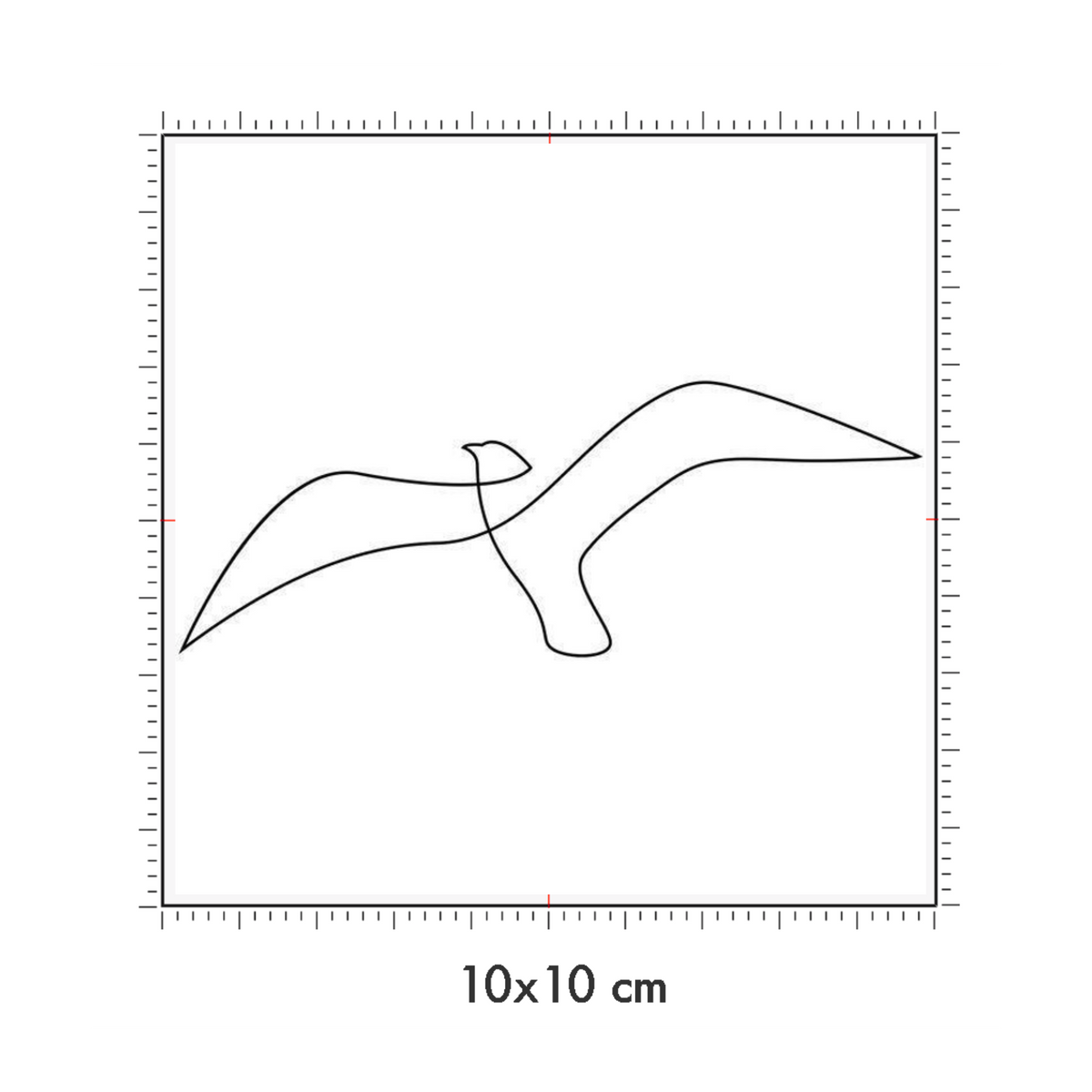 10 x 10 cm