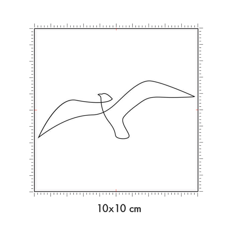 10 x 10 cm