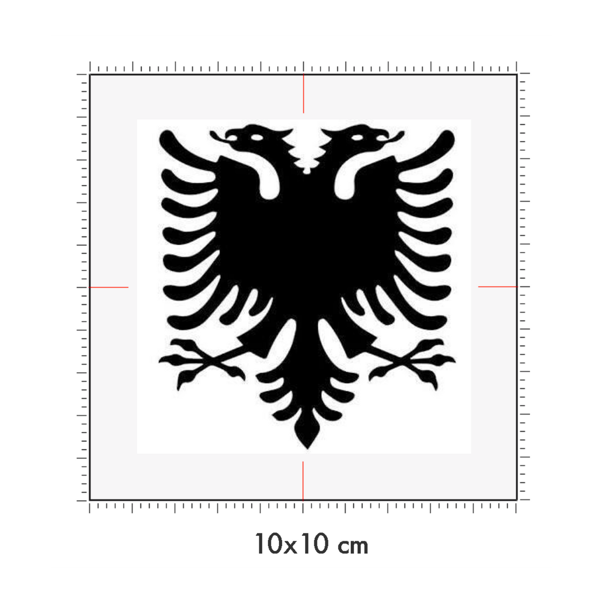 10 x 10 cm