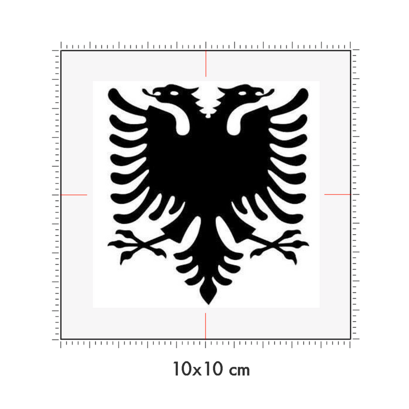 10 x 10 cm