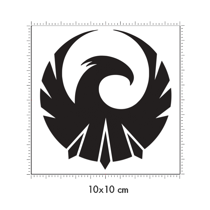 10 x 10 cm