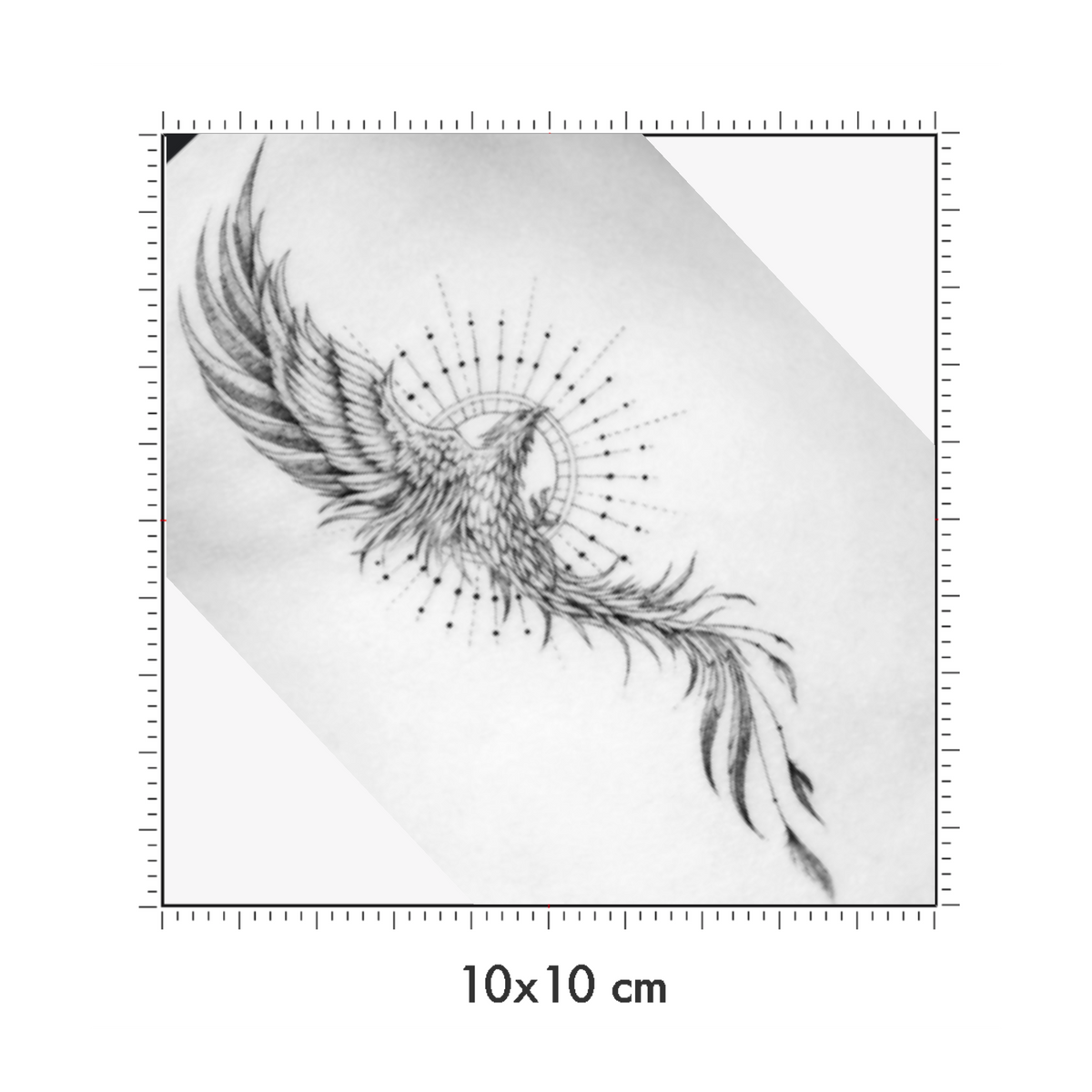 10 x 10 cm