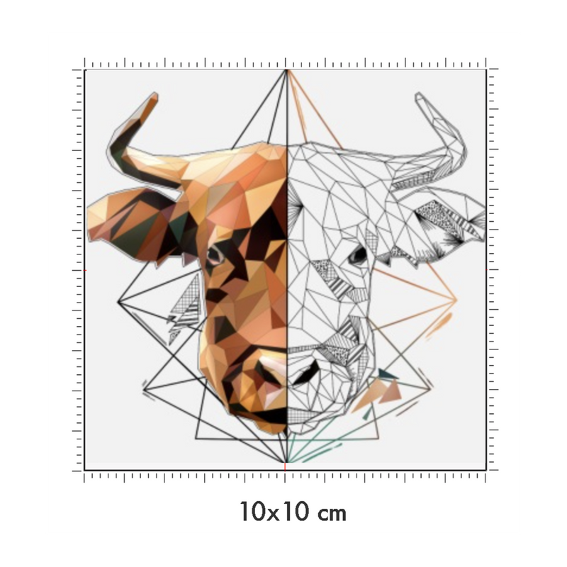 10 x 10 cm
