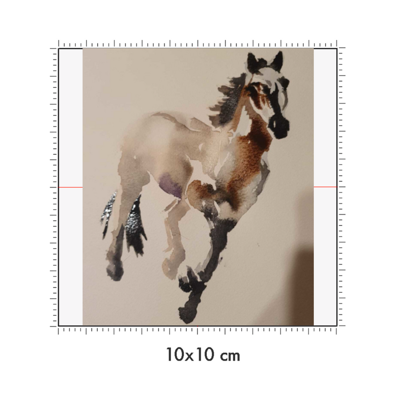 10 x 10 cm