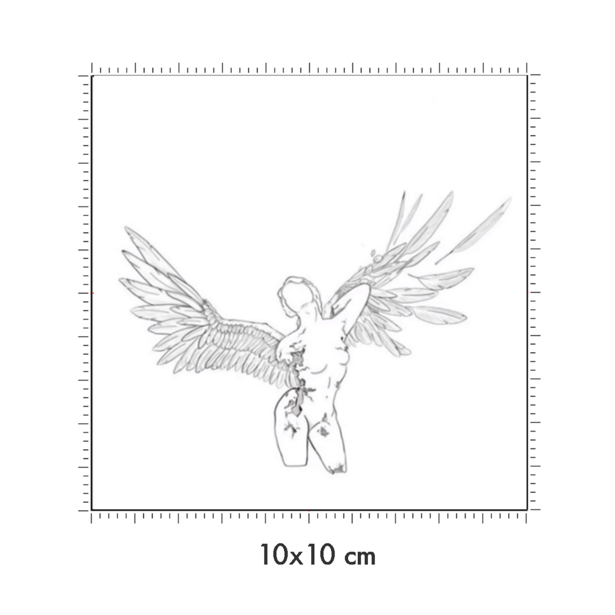 10 x 10 cm