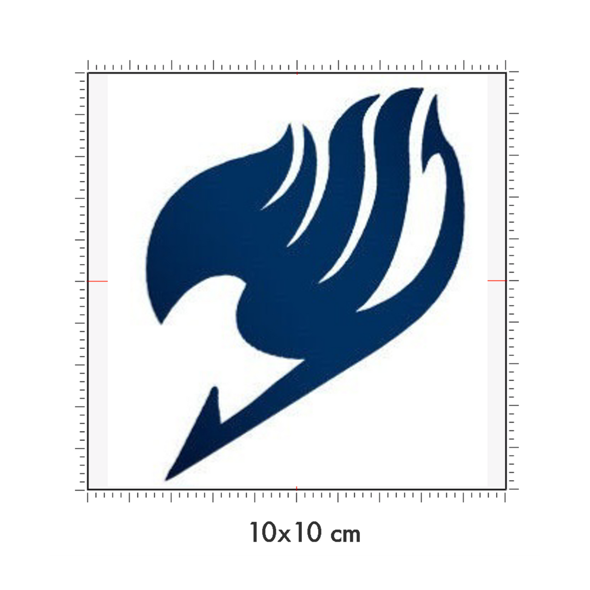 10 x 10 cm