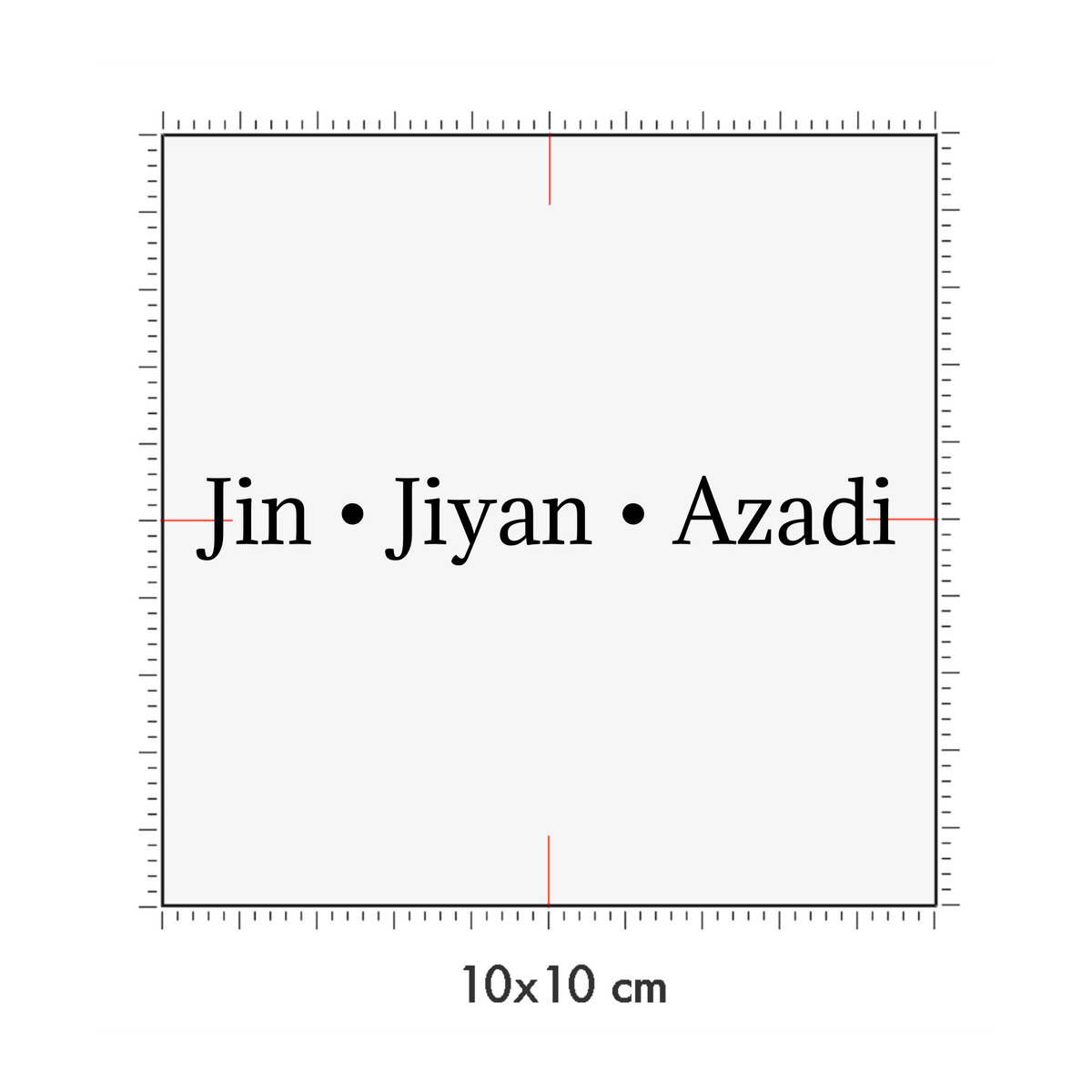 10 x 10 cm