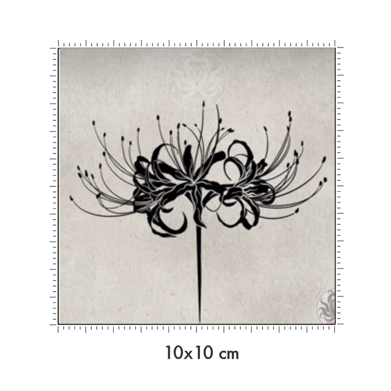 10 x 10 cm
