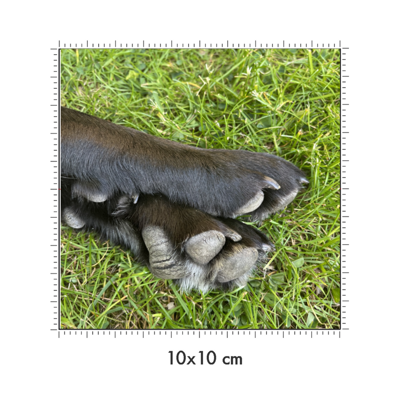 10 x 10 cm