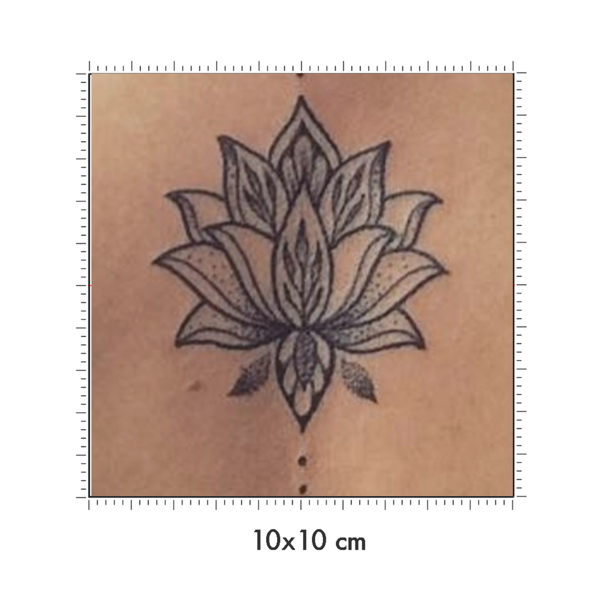 10 x 10 cm
