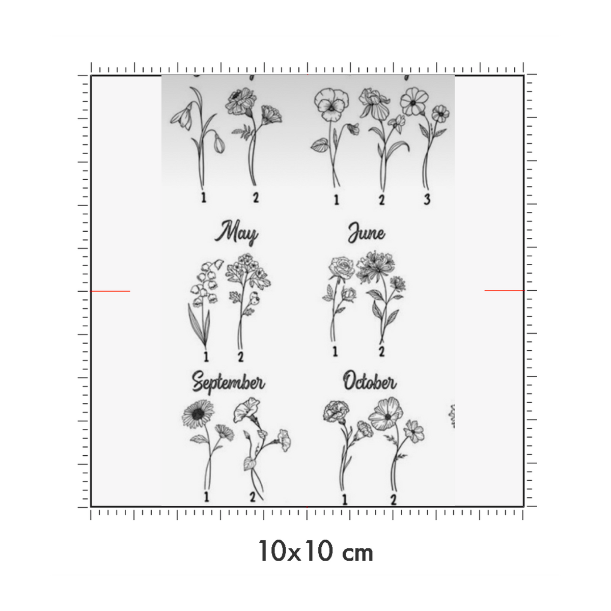 10 x 10 cm