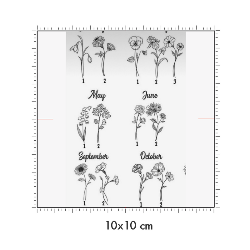 10 x 10 cm