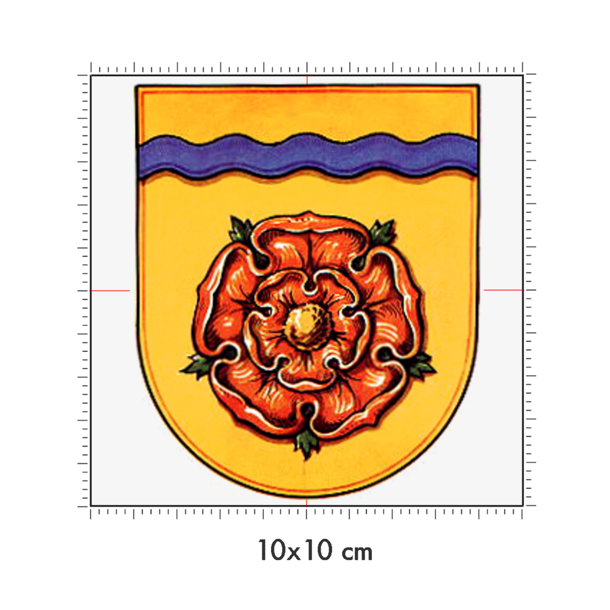 10 x 10 cm