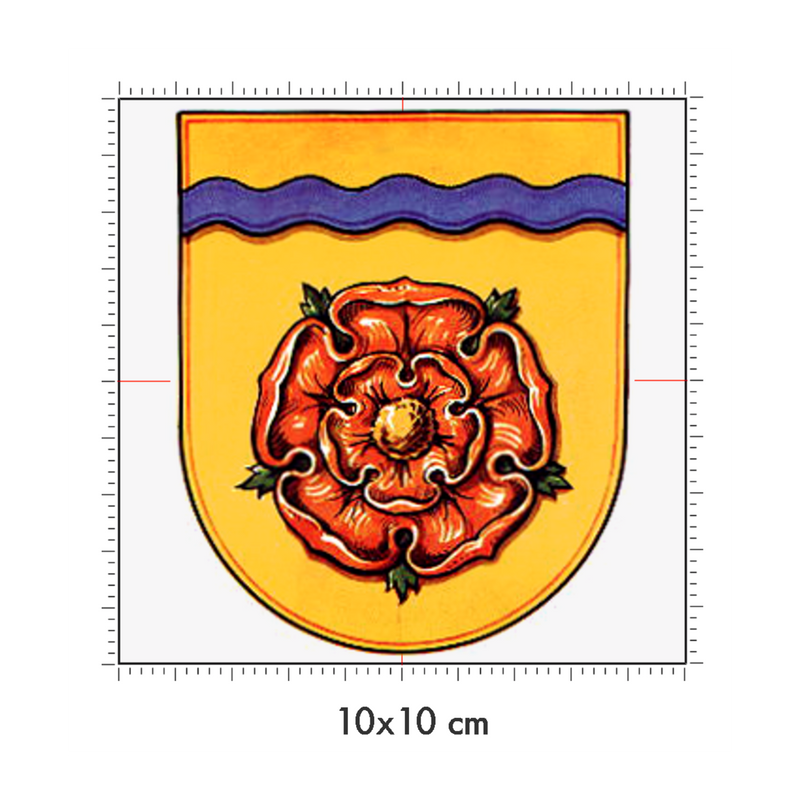 10 x 10 cm