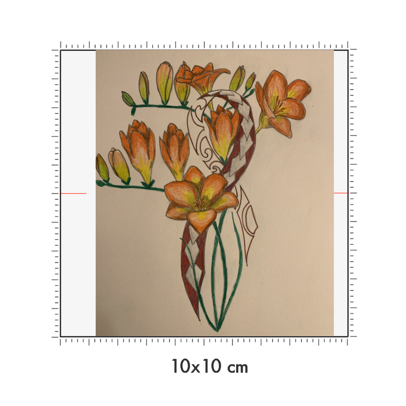 10 x 10 cm