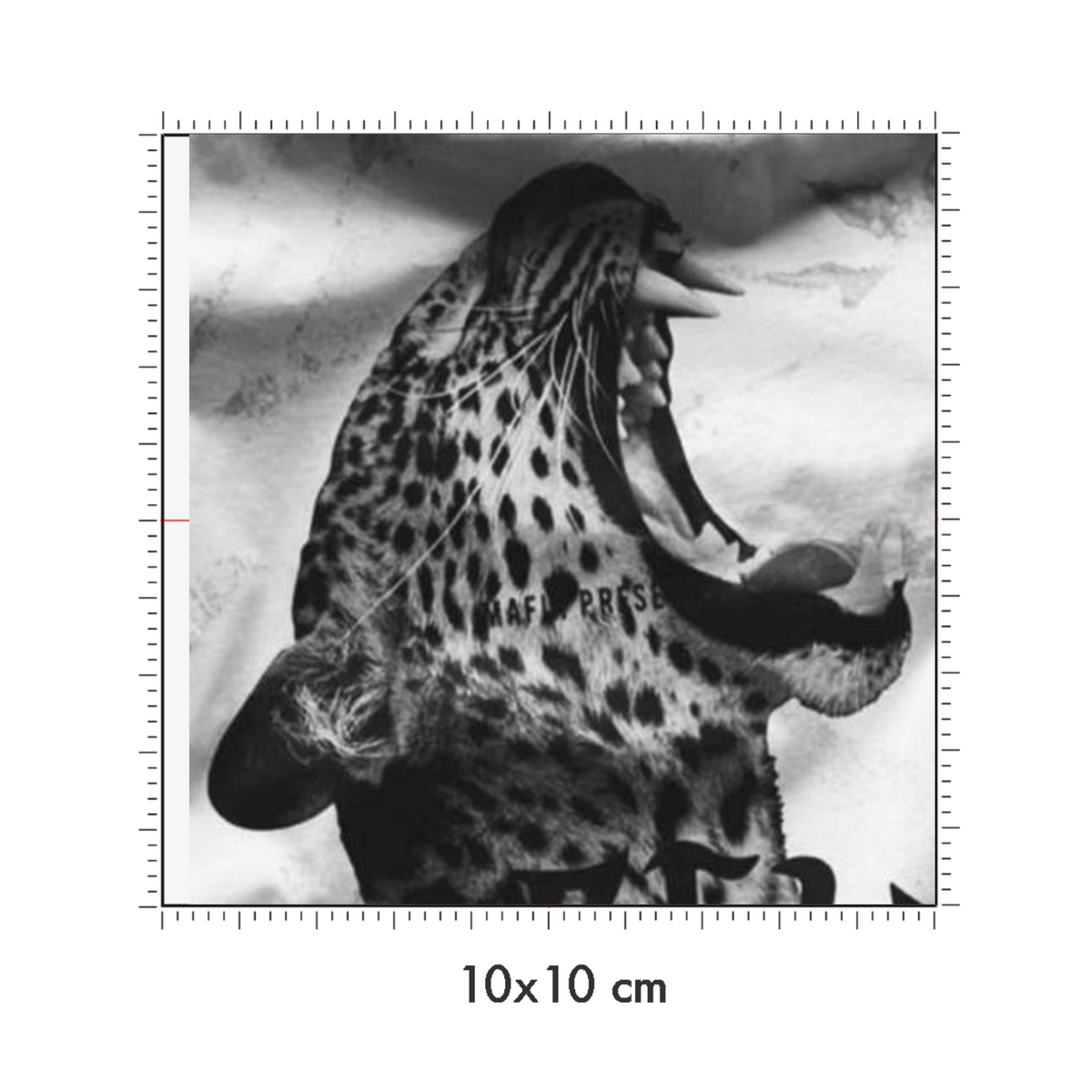 10 x 10 cm
