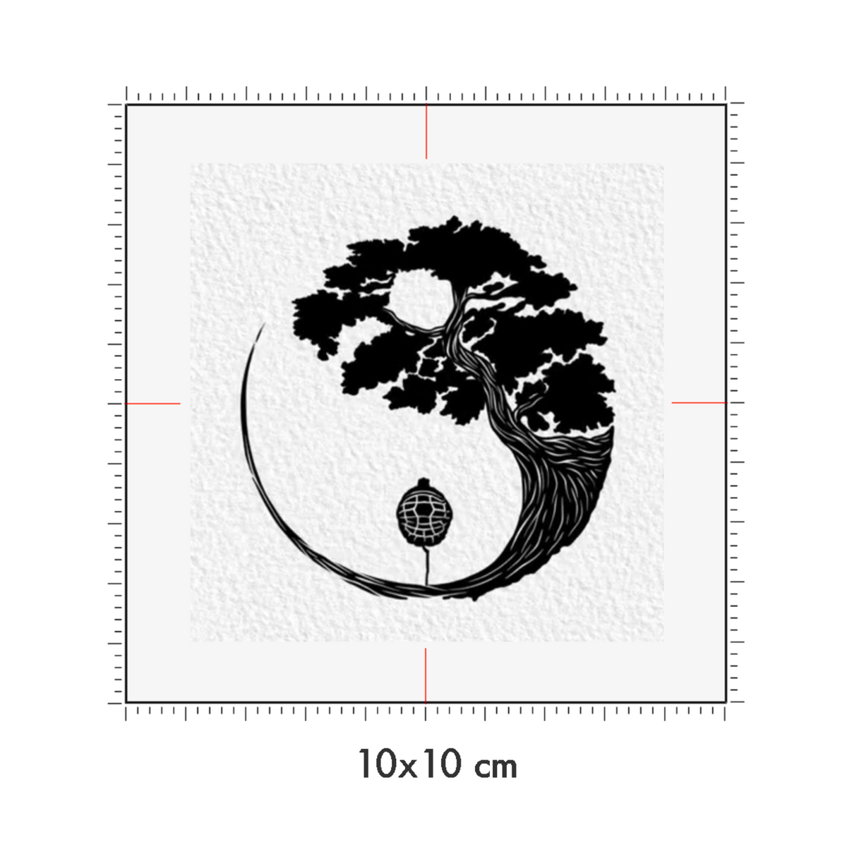 10 x 10 cm