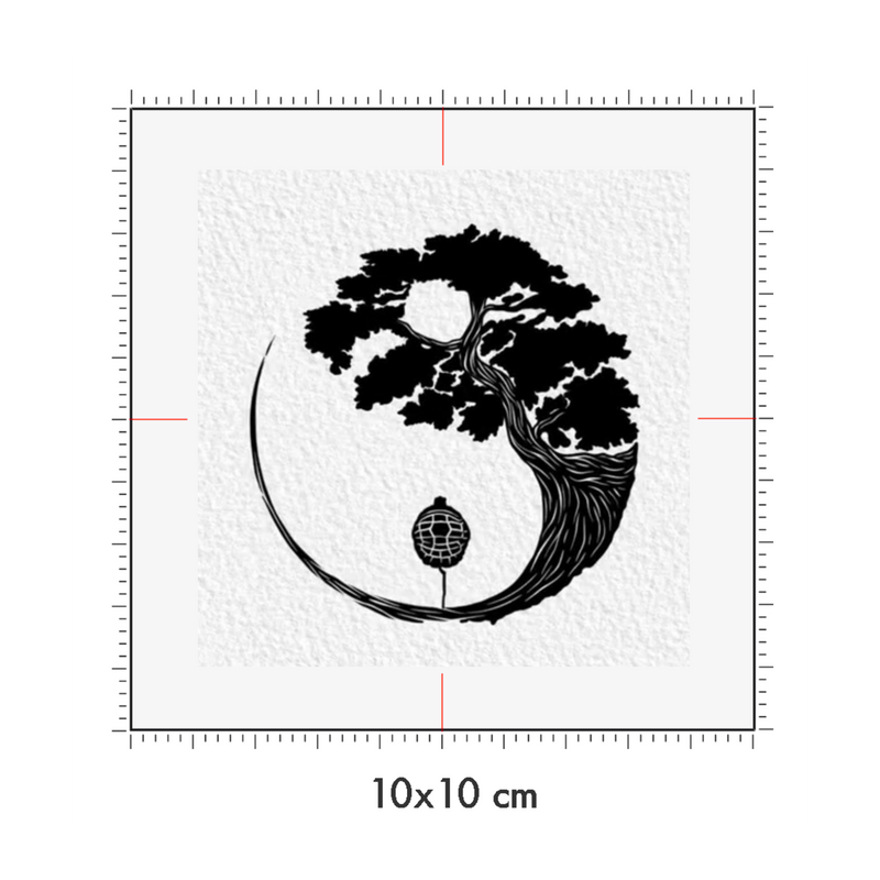 10 x 10 cm