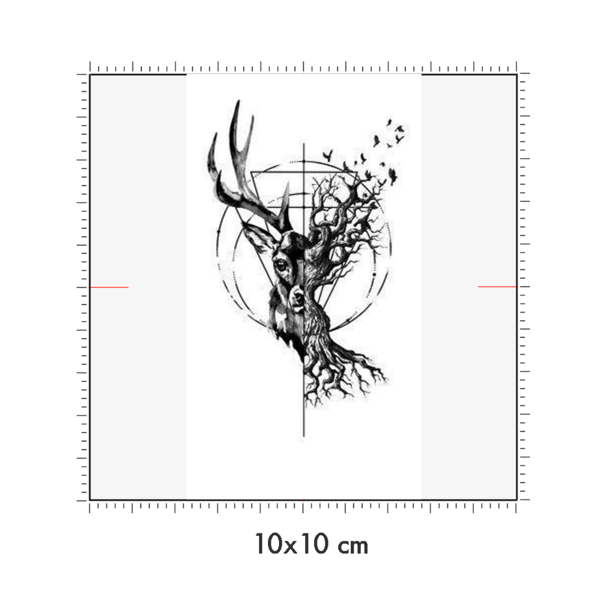 10 x 10 cm