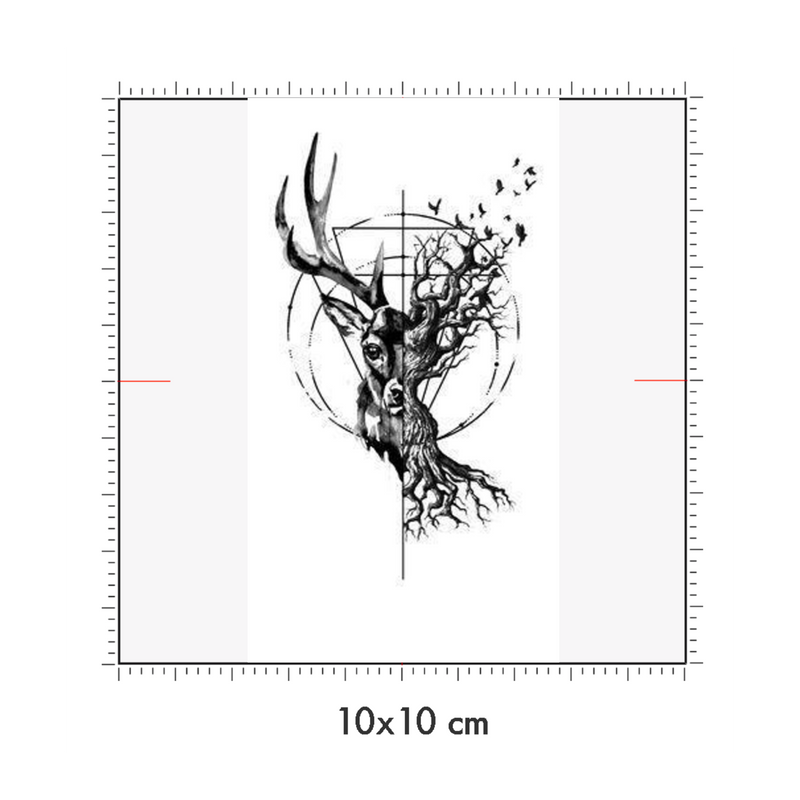 10 x 10 cm