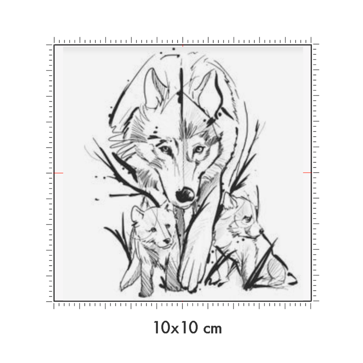 10 x 10 cm