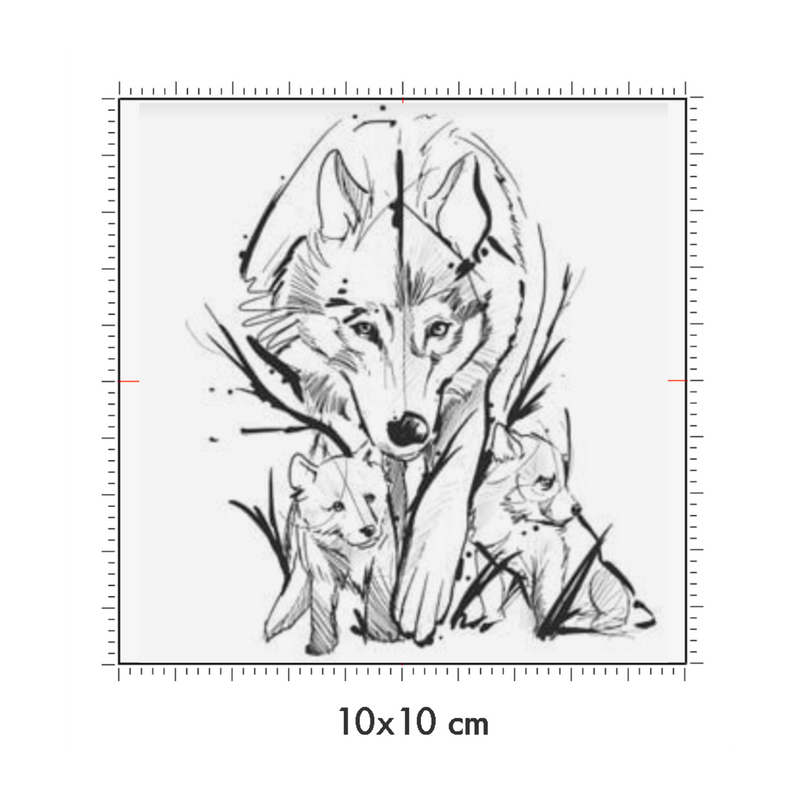 10 x 10 cm