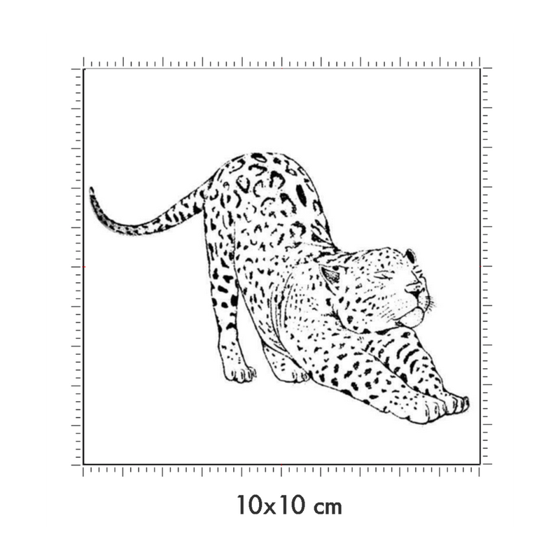 10 x 10 cm