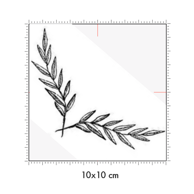 10 x 10 cm