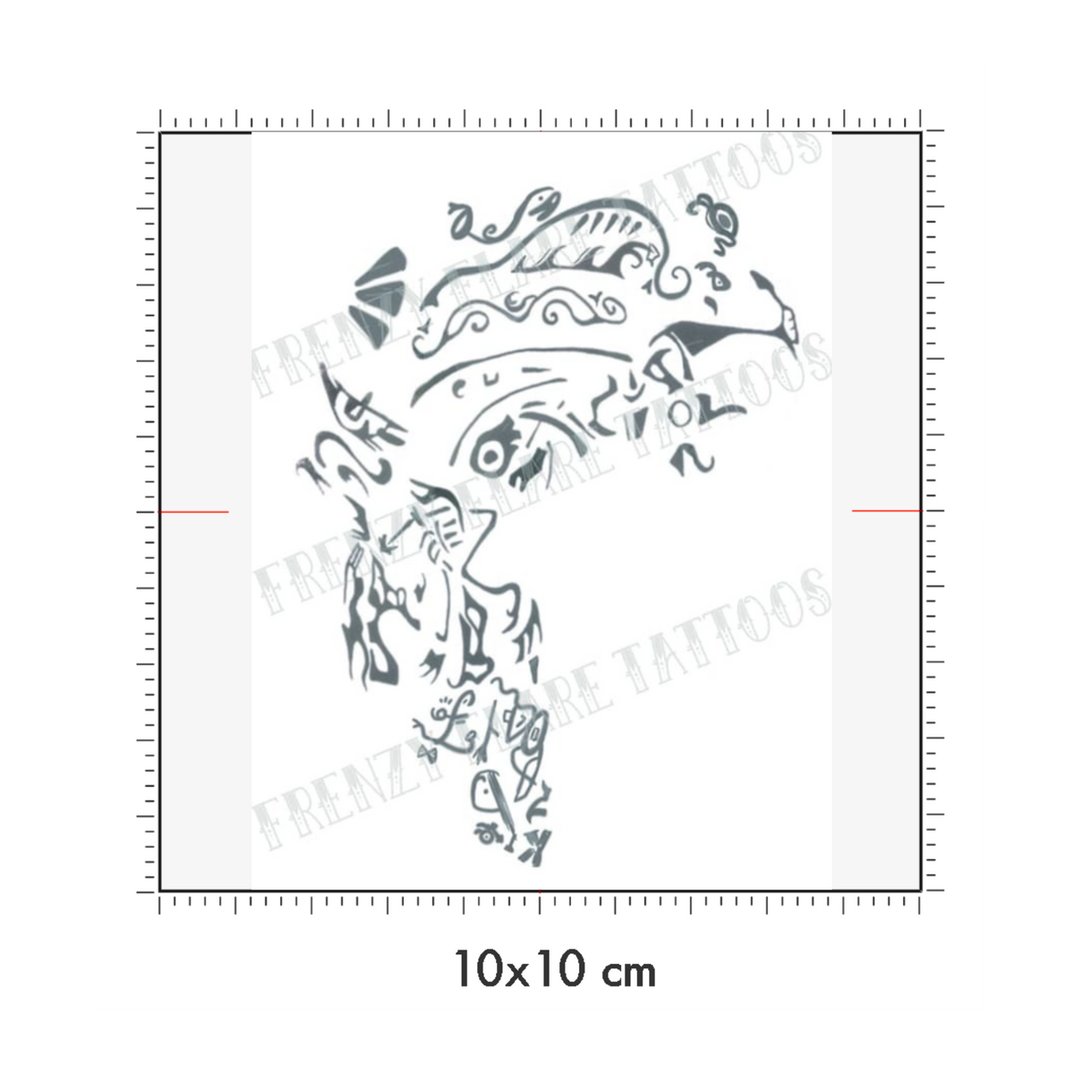 10 x 10 cm